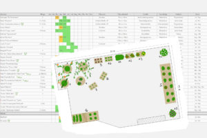 Gartenplanung Gemuese