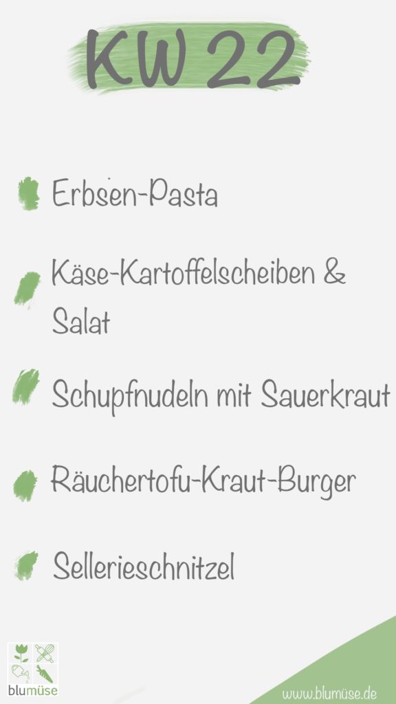 Speiseplan KW22 2020